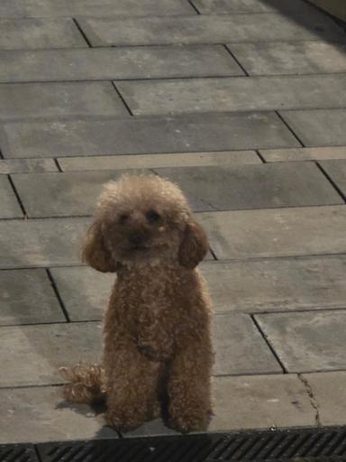  טסט ברק | הזמנת כרטיסים