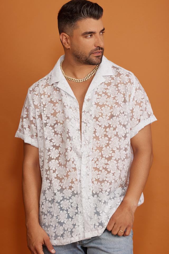 צילום: שי פרנקו
, ויקיפדיה